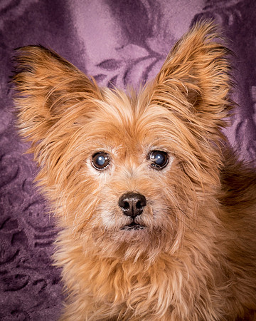 Foster Nessa-5684