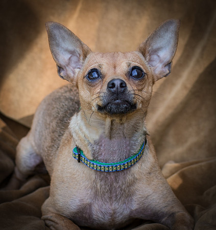 Foster Naomi-8872