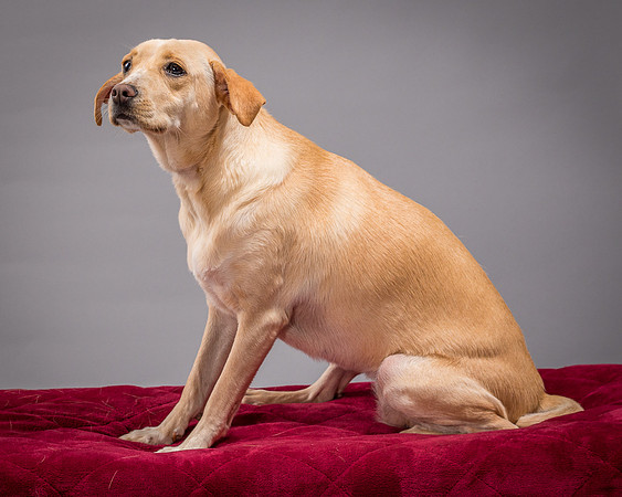 Foster June-3531