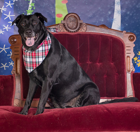 Foster Beatrice-3991