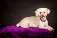 Foster Mae-8954