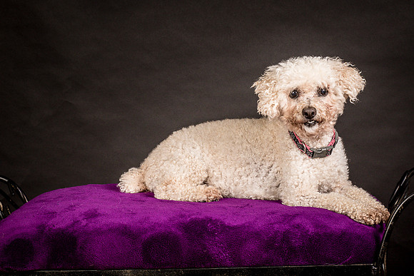 Foster Mae-8954