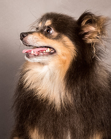 Foster Clint-4252