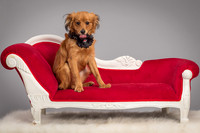 Foster Elyse-3778