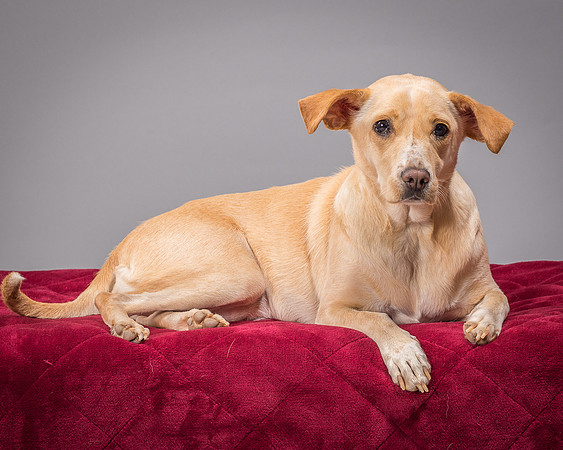 Foster June-3450