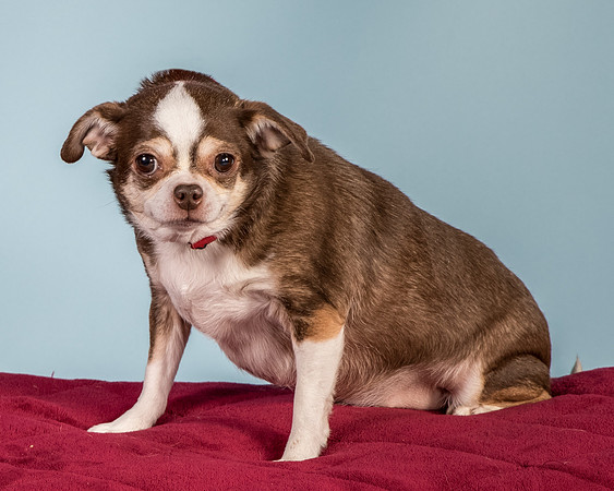 Foster Sophie-5209