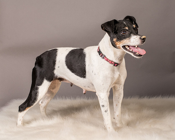 Foster Pollyanna-3929