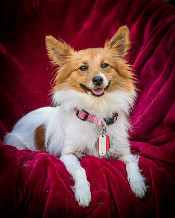 Foster Brandi-3406