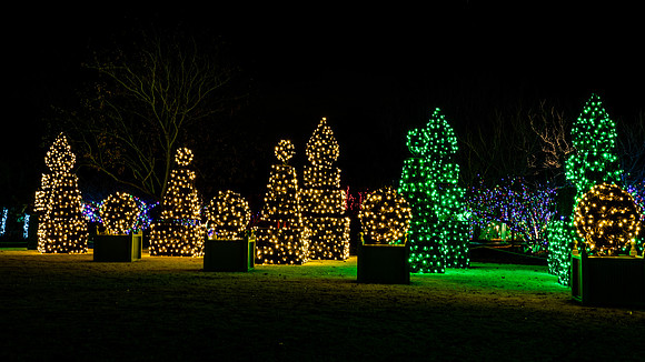 Christmas-2535