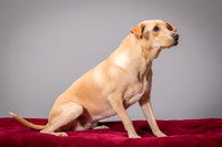 Foster June-3466
