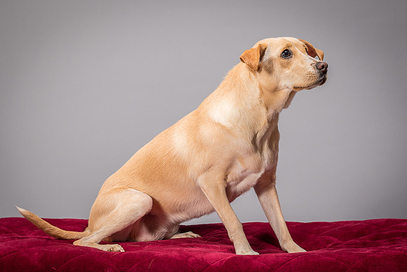 Foster June-3466