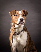 Foster Coolidge-2953