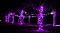 Christmas-2548