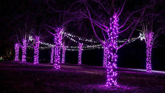 Christmas-2548