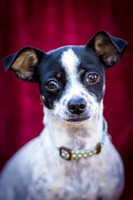Foster Haylie-3997