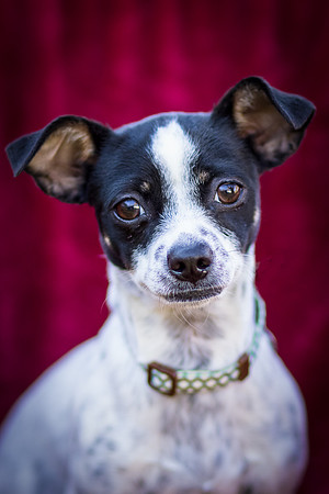 Foster Haylie-3997