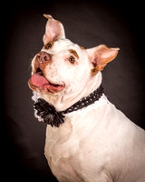 Foster Joanie-0424