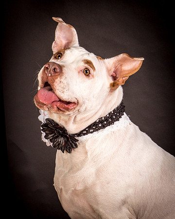 Foster Joanie-0424