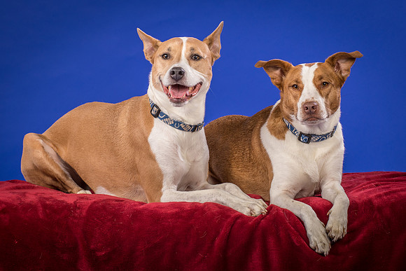 Urschel-Ethel and Ruby-9731