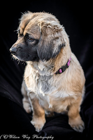 Foster Trudy-23