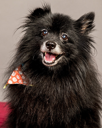 Foster Wayne-7970