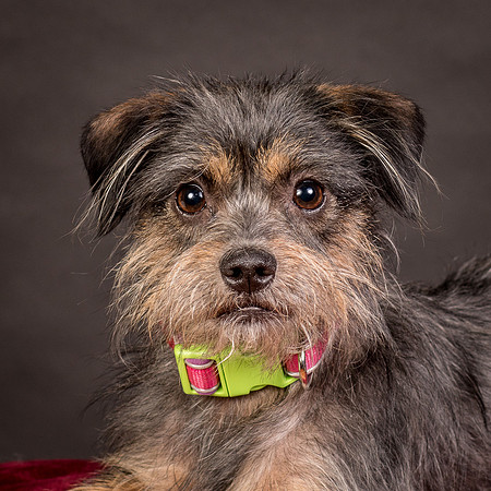 Foster Nadine-9619