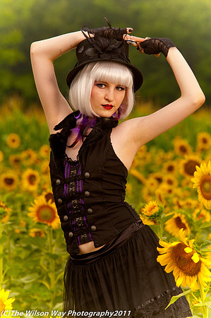 Taylor-8431