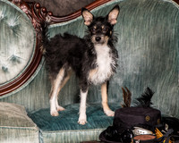 Foster Riley-4825