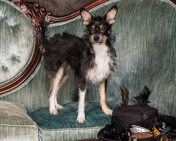 Foster Riley-4825