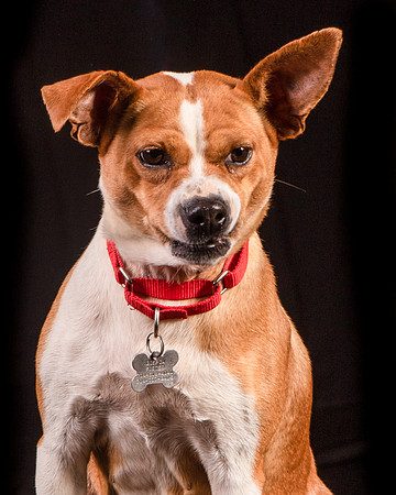 Foster Posey-1103