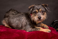 Foster Nadine-9574