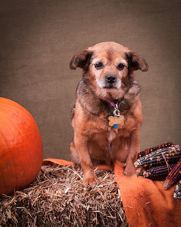 Foster Keela-7121