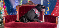 Foster Beatrice-3983