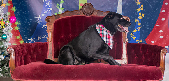 Foster Beatrice-3983