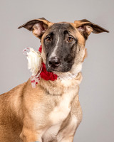 Foster Gabby-4004