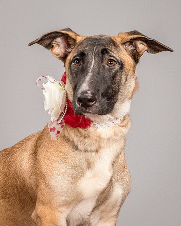 Foster Gabby-4004