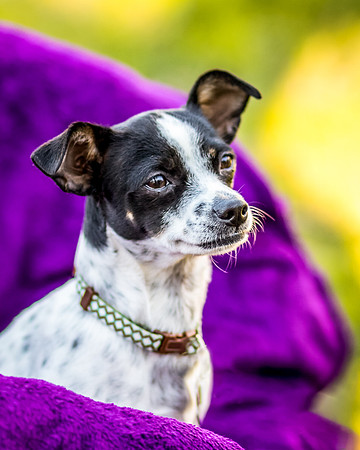 Foster Haylie-4079