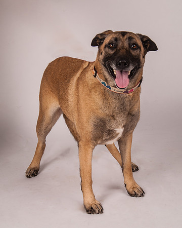 Foster-06-MW-2957