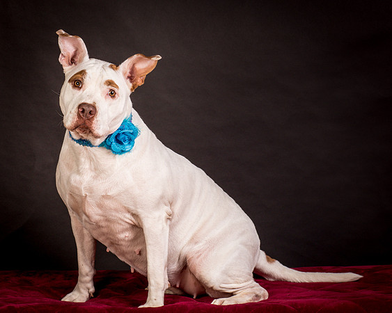 Foster Joanie-0452