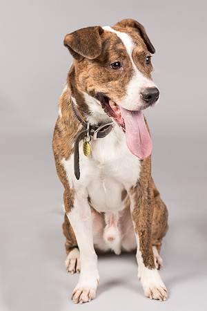 Foster Coolidge-3131