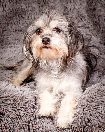 Foster Alex-6247