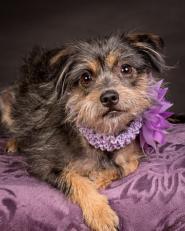 Foster Nadine-9644