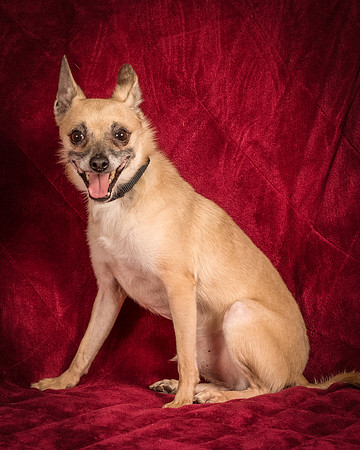 Foster Kiwi-8383