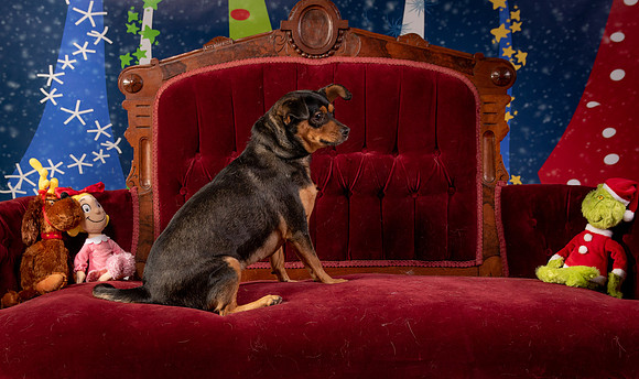 Foster Jolie-6479