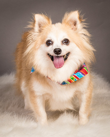 Foster Lilly-3401