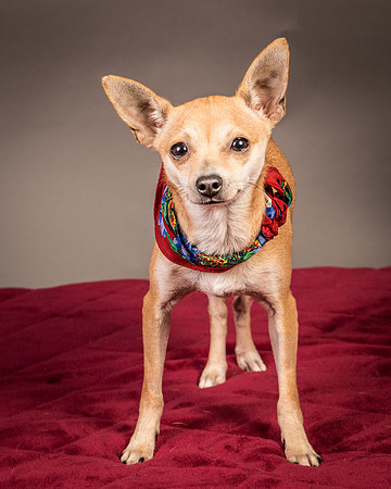 Foster Rosanna-3777