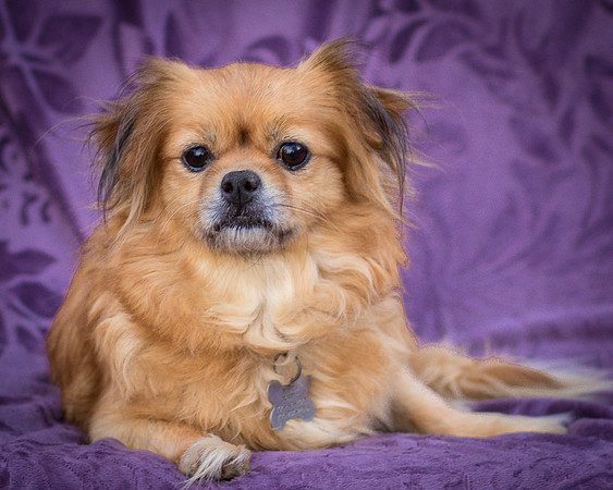 Foster Tia Maria-7862