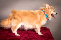 Foster Lilly-3333