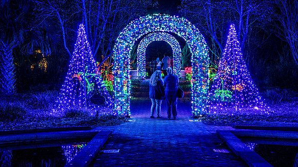 Christmas-2833