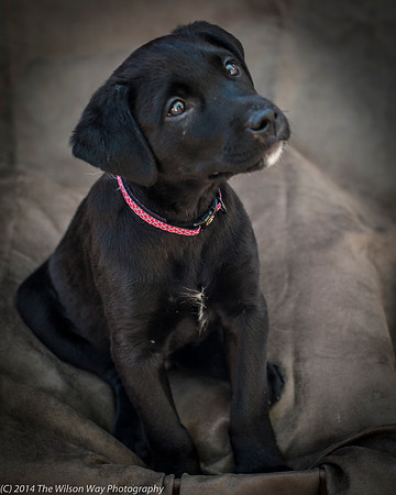 Foster Gumby-2391